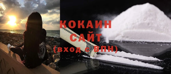 метадон Горняк