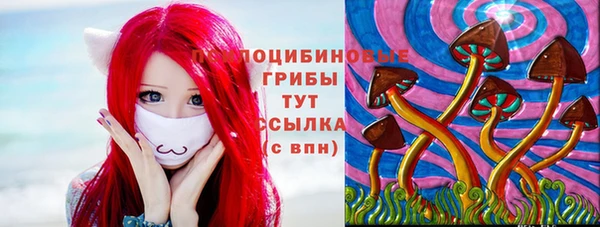 метадон Горняк