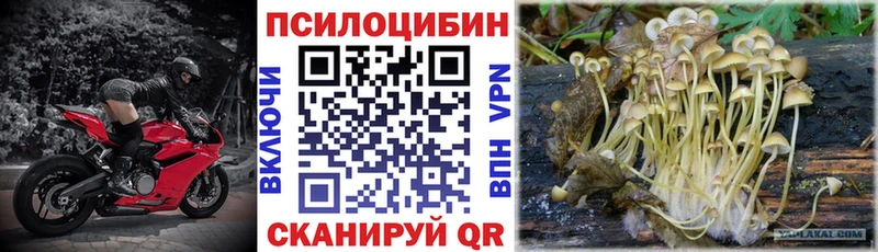 Псилоцибиновые грибы Psilocybine cubensis  дарнет шоп  ссылка на мегу ONION  Юрьев-Польский 